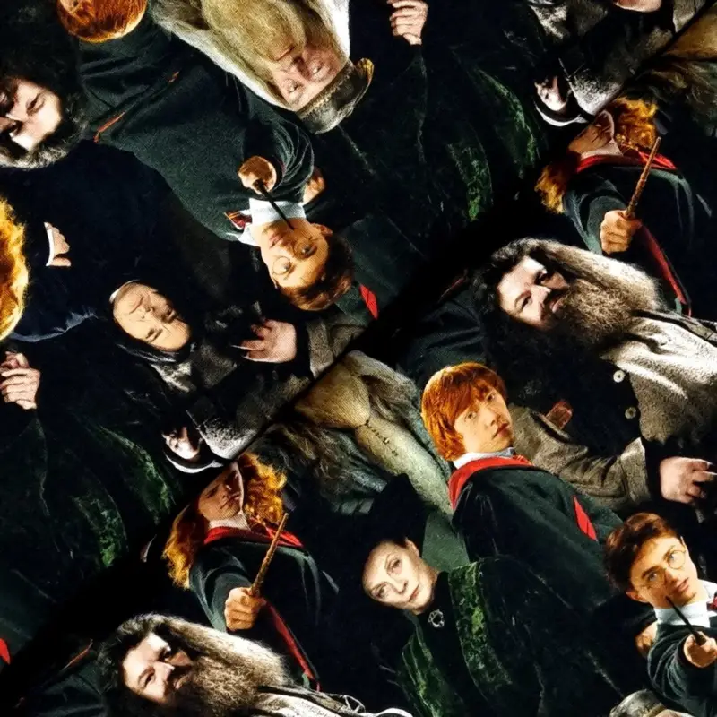 Günstig 96x150 * Jersey * Harry Potter * Cinema Charaktere * RESTSTÜCK