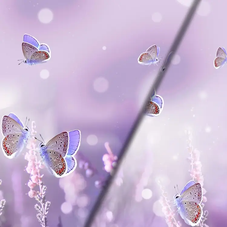 Baumwolljersey Malomi Panel Purple Butterfly, flieder 150 x 65 cm Finale Aktion