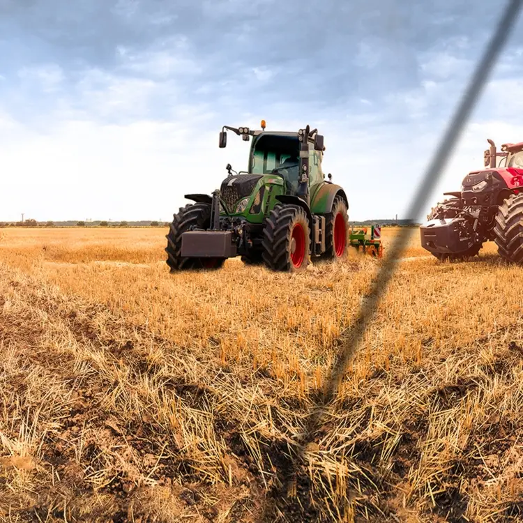 Finale Aktion Baumwolljersey Malomi Panel Big Tractors 145 x 85 cm