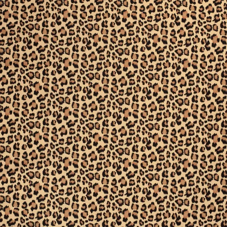 Zertifiziert Bengaline Little Leo, dunkelbeige