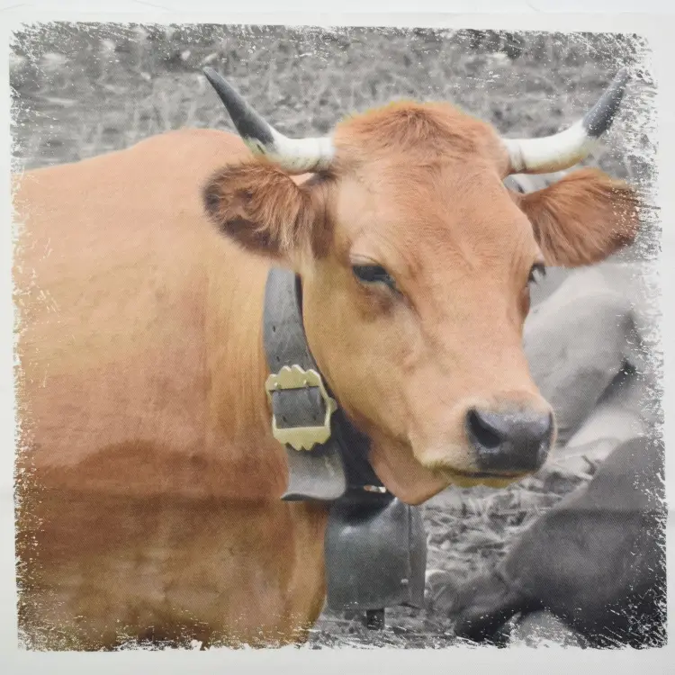 Aktuell Dekostoff Panel Serge Kuh, 50 x 50 cm