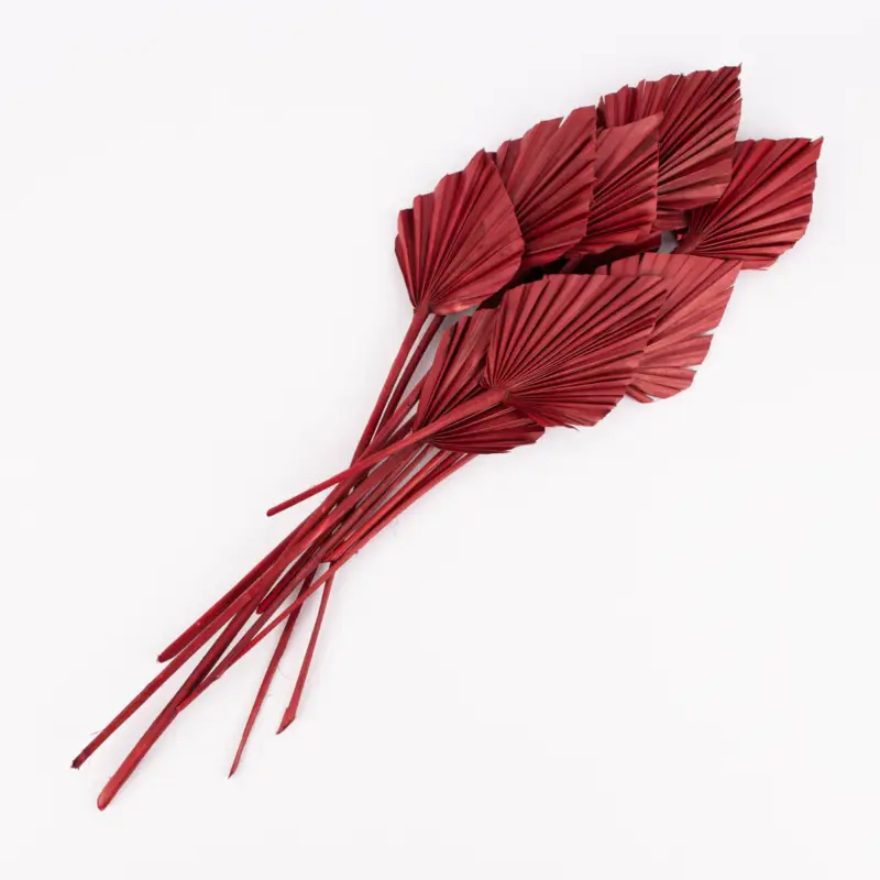 Beliebt Clayre & Eef Getrocknete Palmenblätter Bund Trockenblumen rot 40-60cm