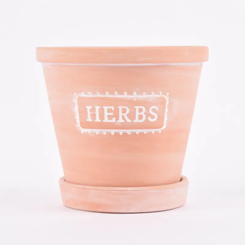 Sass & Belle Übertopf mit Untersetzer Herbs Terracotta weiß 12,5x11,5cm Knallerangebot