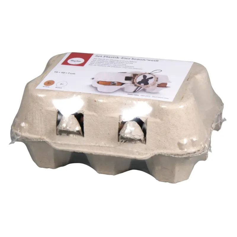 Rayher Dekoeier 6er Set im Eierkarton Kunststoff weiß und braun 15x10,5x7cm Heißes Angebot