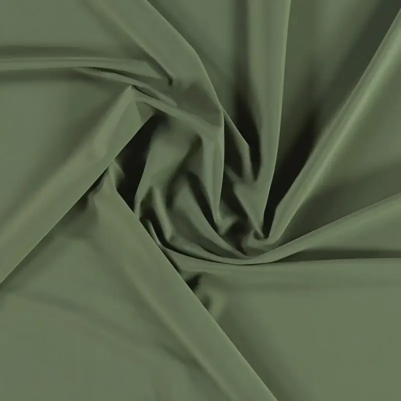 Nylon-Stretchjersey, staubgrün Expressversand