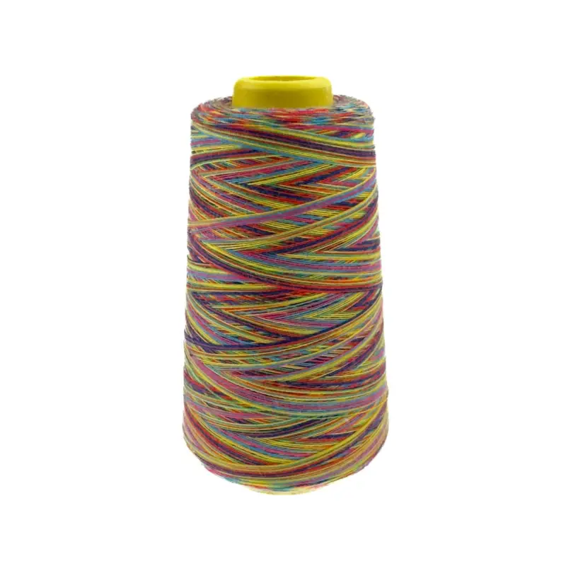 Sofort Bestellen Overlockgarn Multicolor C