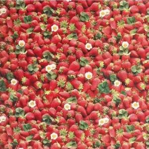 Wachstuch Strawberry Highlight