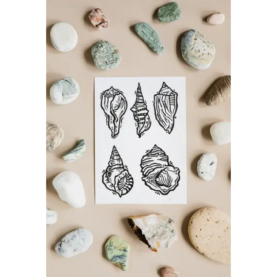 Preis Gesenkt 5 verzierte Muscheln - Plotterdateien